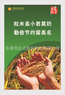 KT续д4006525880