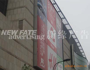 滧沼桢д桢д桢޷Ĳ