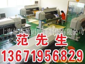 大批量PVC胶片写真画面加工(图)