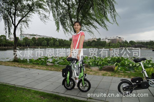 綯г,36V9AH﮵,200W,ȫ