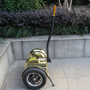 ̤ѩ޺۵綯lָӦƽ⳵/segway