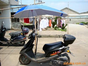 13645861688綯