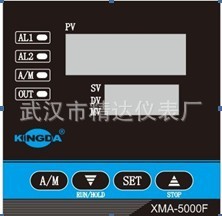 ˫ޱ*XMT-5220FԿѹҺλ¶Ȳ
