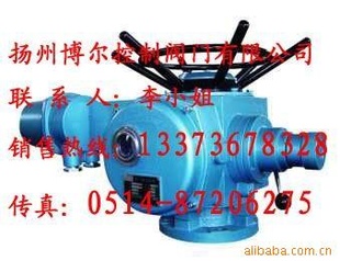 DZB20,电动装置,dkj电动执行器,802电动阀门装置头
