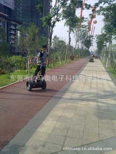 SegwayEbikeƽ⳵ָ