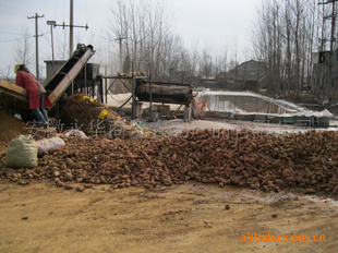 2010＾ʪۣ