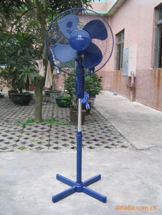 ȣȣ16磬16”18“18磬FANSTANT