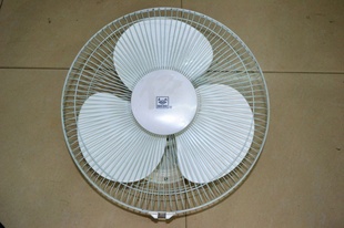 ֱ36016Բڳ¥