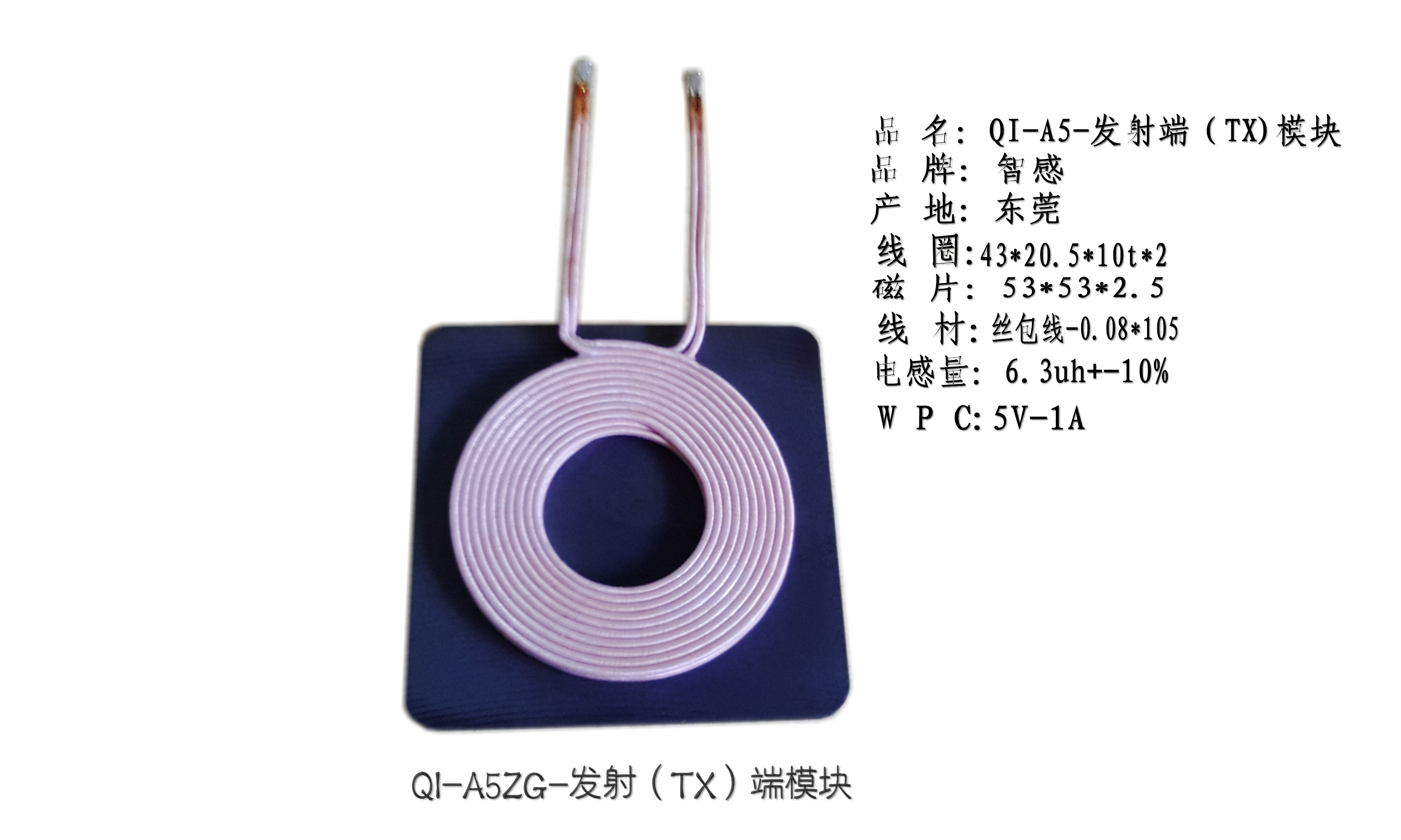 qi-zgA5˿˫˫Ȧֱ
