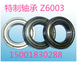 -6003Z