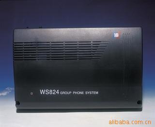 WS824(10D)ֽ12+72