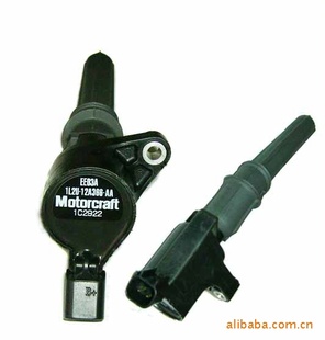 Ȧ1L2U-12A366-AAsupplyIgnitioncoilforFORD