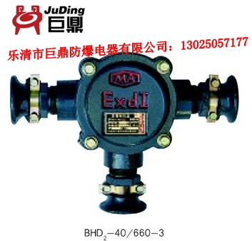 BHD2-40/3Tø͵½ߺ