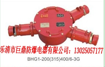 BHG1-400/6-3TøѹߺУ400Aѹߺ