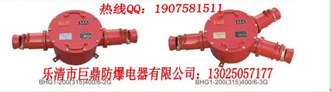 BHG1-400/10-2Tø͸ѹߺ