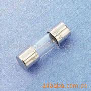 4.6X16mm保险丝(图)