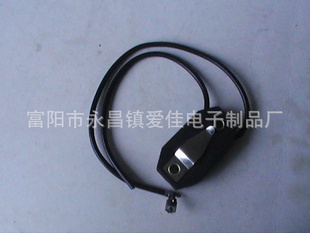 ICG-1