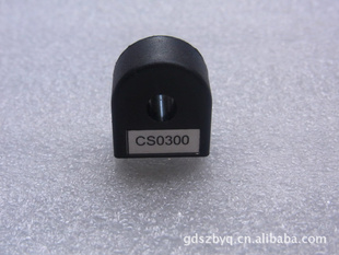 CS0300