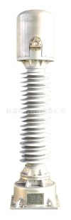ֱ/LENJH8-66Wʽ/