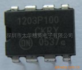 1203P100