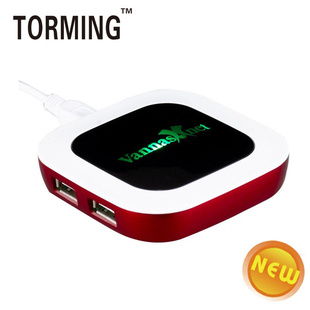 TM-427¿USBHUB+logo