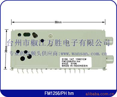 ӸƵͷFM1256/PHHM