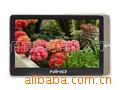 ƶŷTV-12(4GB)