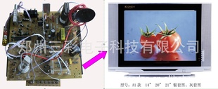 ʵ壨SC-2968-21Ƭ14“-21”2