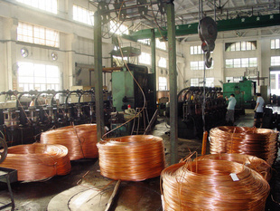 㶫³޹˾“AAA”VV220.6/1KV5*10