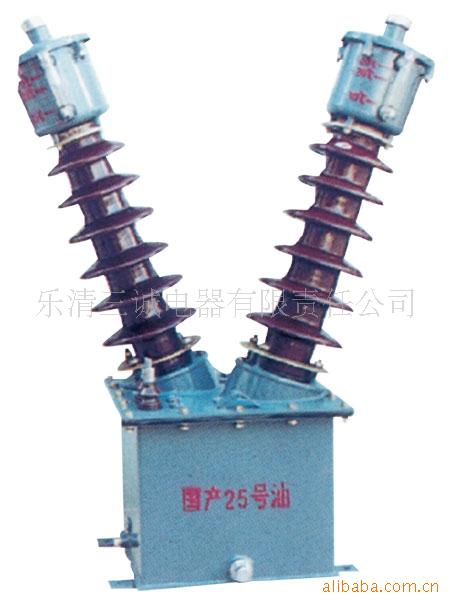 油浸式电流互感器JDJJ2-35JDJ2-35(图)
