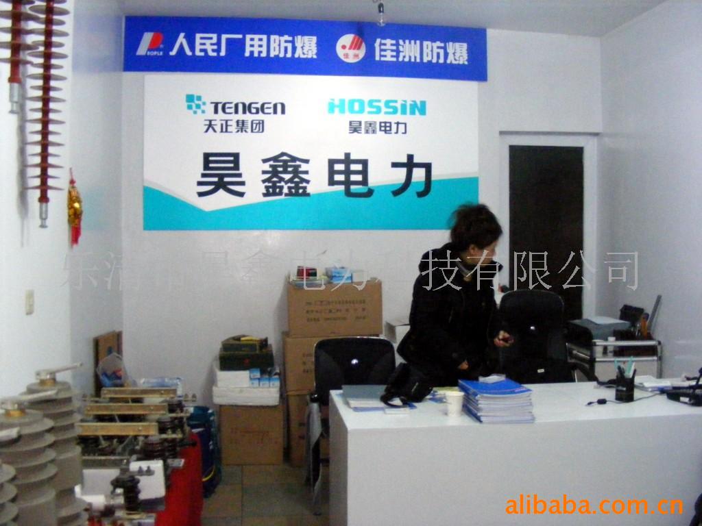 油浸式电流互感器JSJW-6JSJW-10(图)