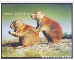 綯Ļ72绶ӭѯ
