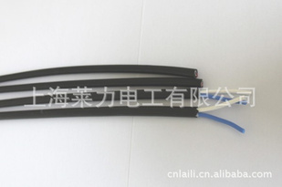 Ϻ繤޹˾ShanghaiLaiLielectricianCo.,LTD