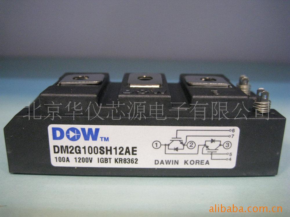 IGBTDM2G100SH12AE