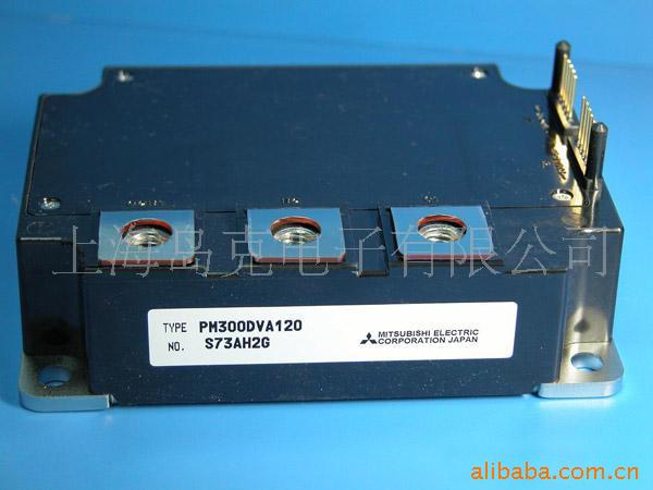 ģPM300DVA120
