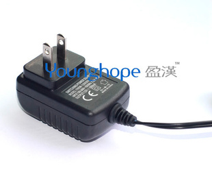 厂家12V500MA日规TUV-PSE电源适配器
