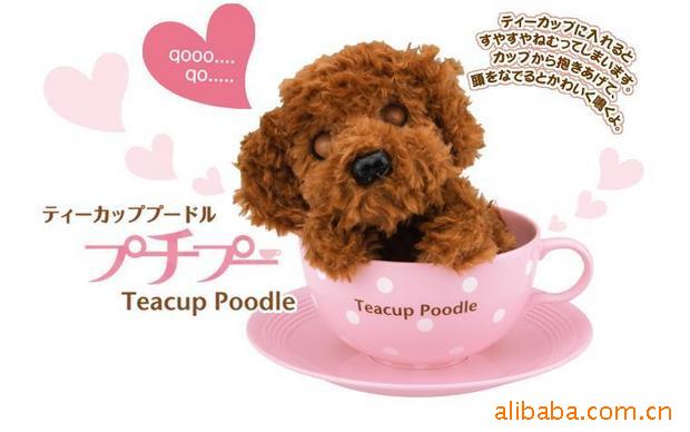 ز豭ֱز豭ز豭Ȯ