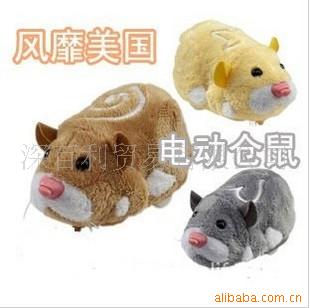 ʹƼZHUZHU綯pets