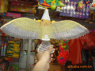 ,̯Ʒ綯ӥ,ƹ