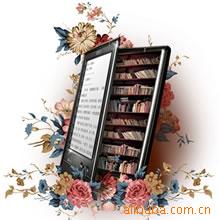 N510ϰֽ飨