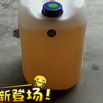 Ʒֹֻ/