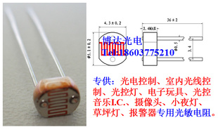 cds55378/ֻûп