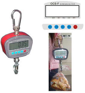 OCS-Fϵм100kg/0.05kgû,Ϻõ