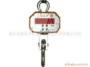 电子吊秤、吊钩秤、友声吊秤、天辰吊秤、*台吊秤批发