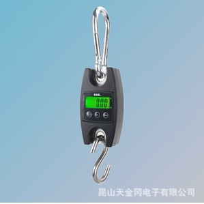 ֱ˫OCS-50-300ֱʽ300KG/100Gӵֻ