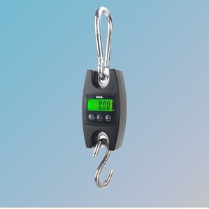 ҳ˫ܾܵOCS-50-100100kg/50g