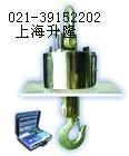 15t无线电子吊钩称,1t无线电子吊钩称,直视电子吊称
