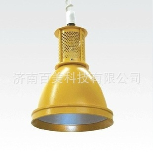 生鲜灯超市灯网罩生鲜灯百美照明生鲜灯山东总代
