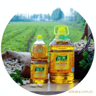 Źʳ5L