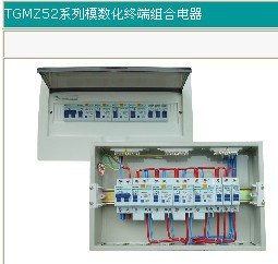 直销TENGEN天正电气TGMZ52PZ30PZ40系列模数化终端组合电器